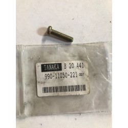 TORNILLO TANAKA 99011050221