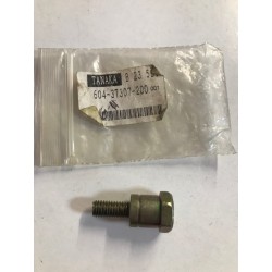 TORNILLO DESBROZADORA...