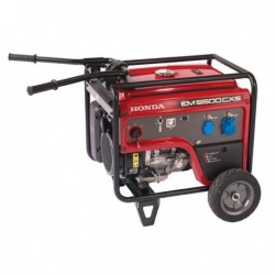 GENERADOR POLIVALENTE EM 5500 CXS AE.