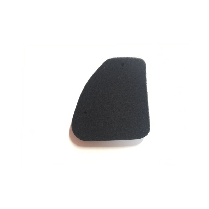 Filtro de aire de Peugeot Buxy 50, Elyseo 50, Elystar 125, Looxor50