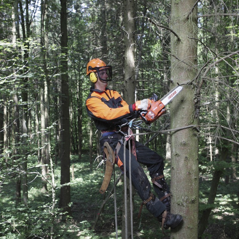 Motosierra de poda Echo CS 280T