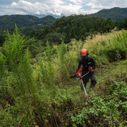 Desbrozadora forestal Echo BCLS 520 ES