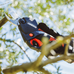 Tijeras de poda Echo DPS 350