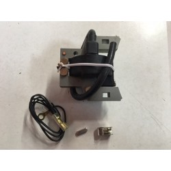 Bobina de encendido Lead Ing referencia 4750802613