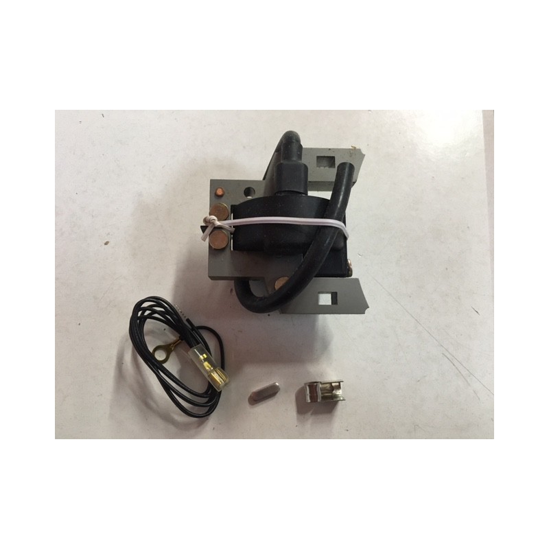 Bobina de encendido Lead Ing referencia 4750802613
