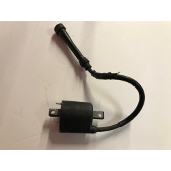 Bobina Kymco Xciting 500 2007-2013 de segunda mano
