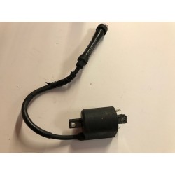 Bobina Kymco Xciting 500 2007-2013 de segunda mano