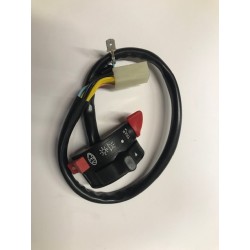 PIÑA DE LUCES PIAGGIO